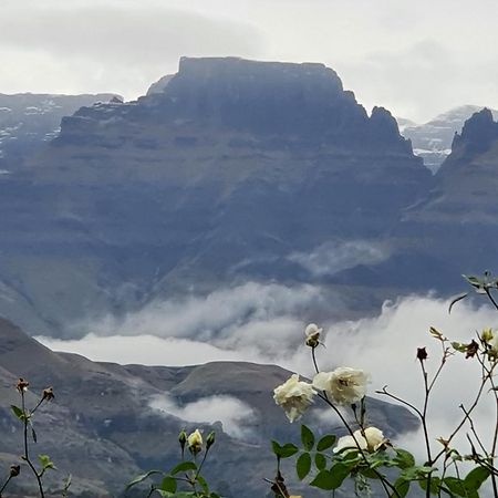 Inkungu Lodge Champagne Valley المظهر الخارجي الصورة