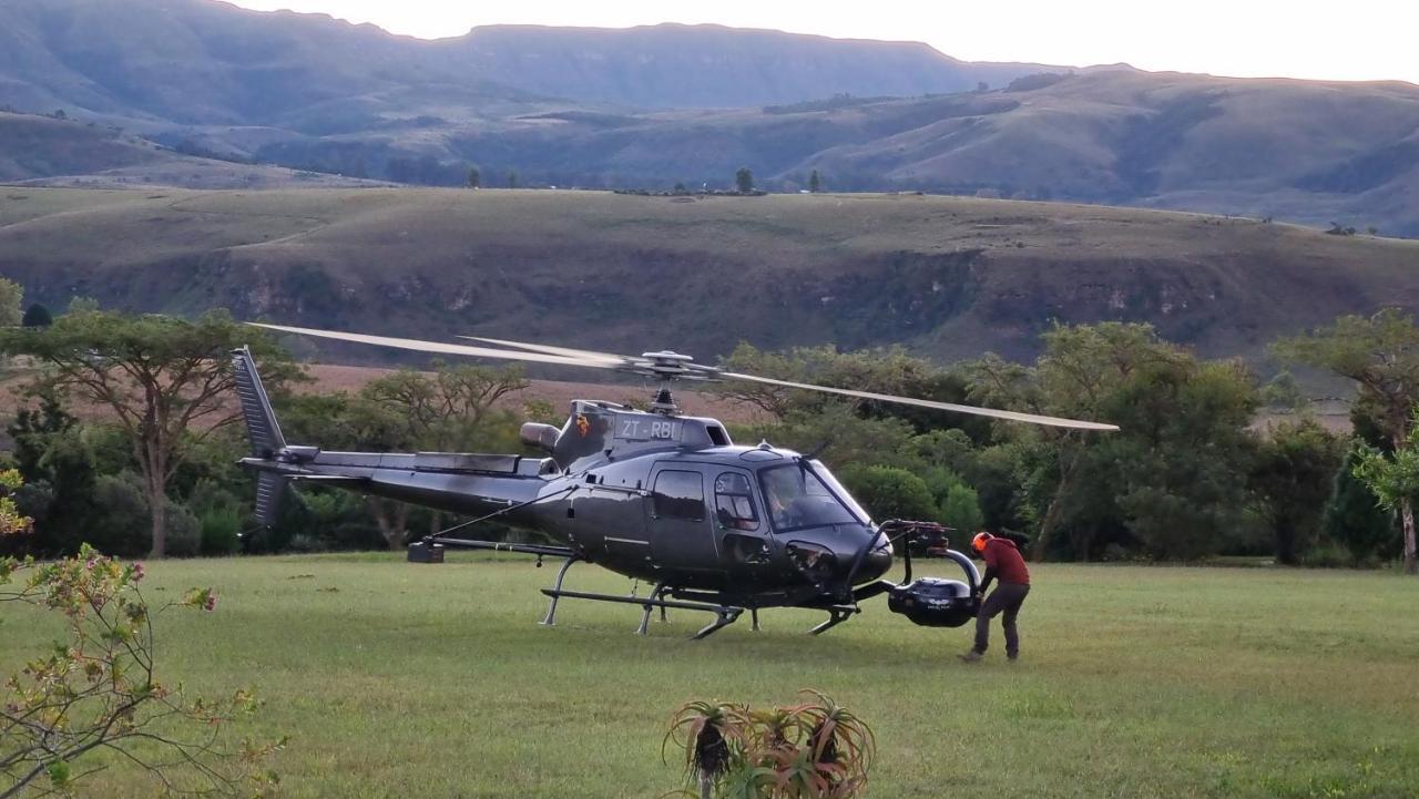 Inkungu Lodge Champagne Valley المظهر الخارجي الصورة