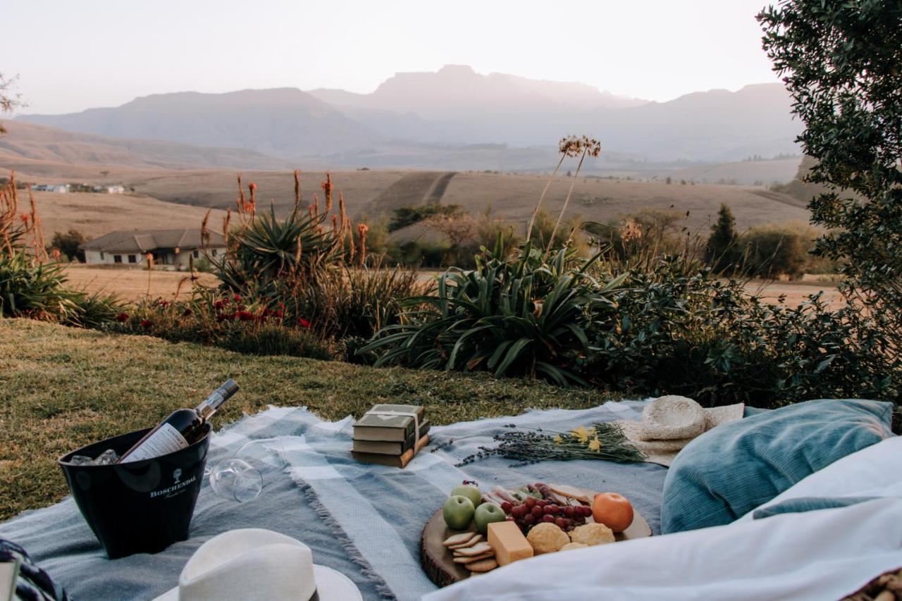 Inkungu Lodge Champagne Valley المظهر الخارجي الصورة