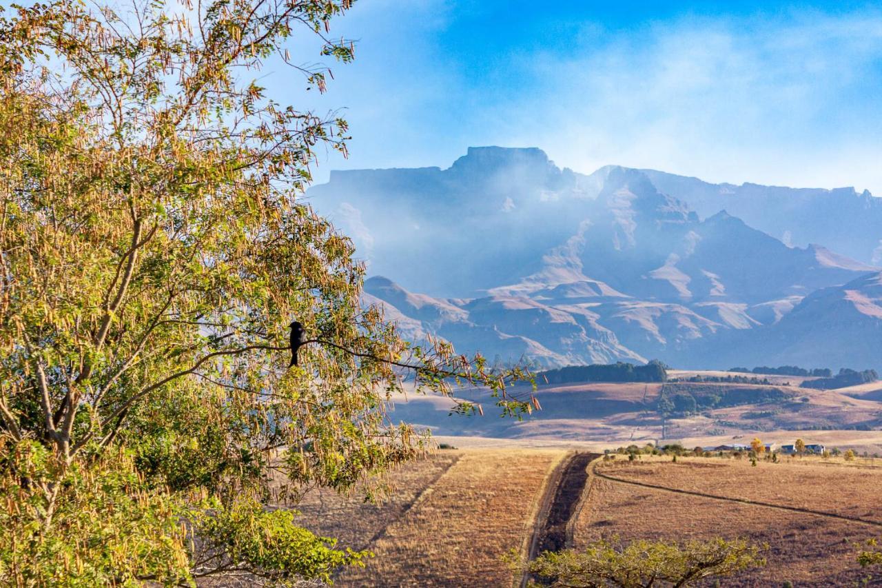 Inkungu Lodge Champagne Valley المظهر الخارجي الصورة