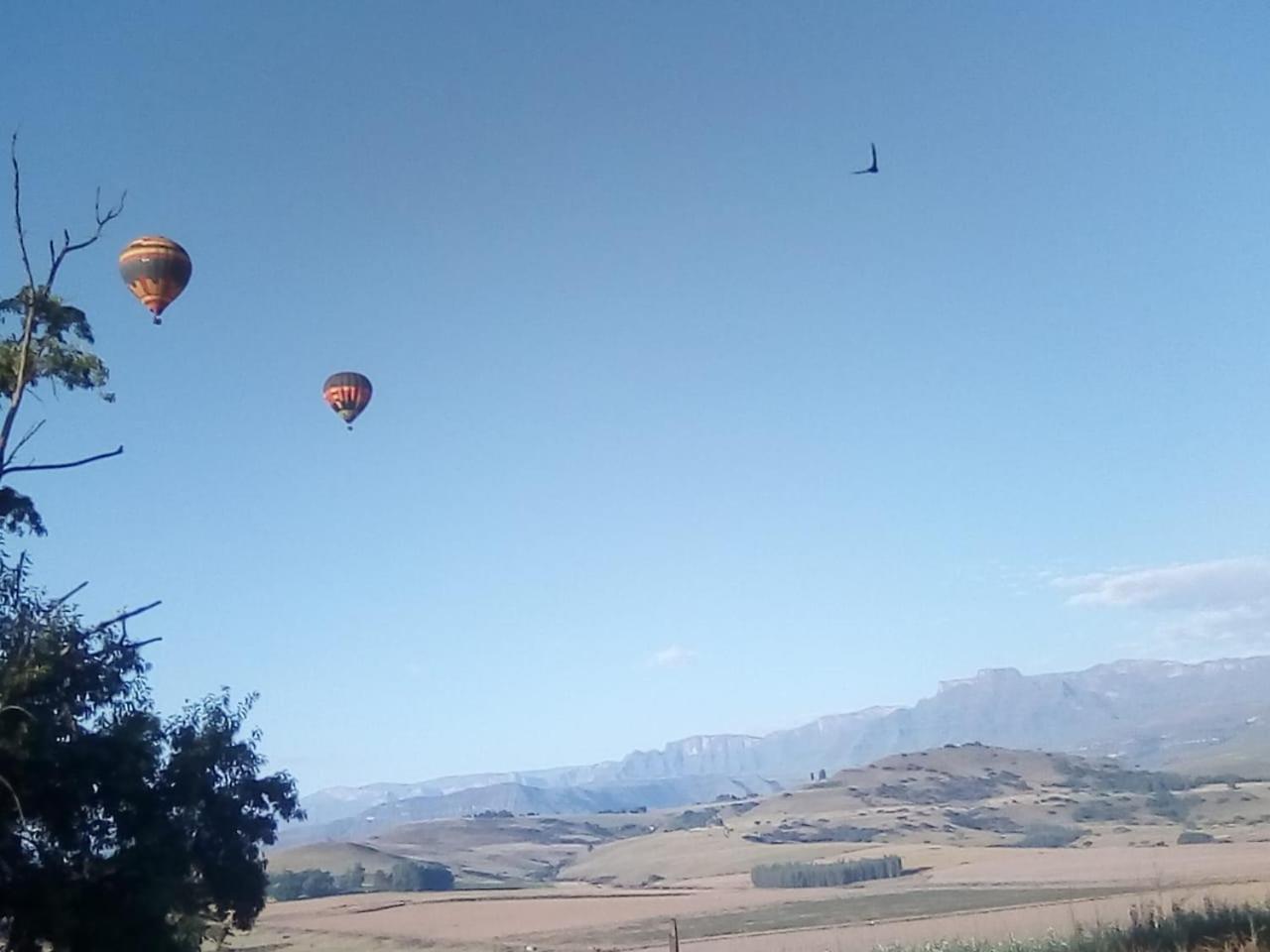 Inkungu Lodge Champagne Valley المظهر الخارجي الصورة