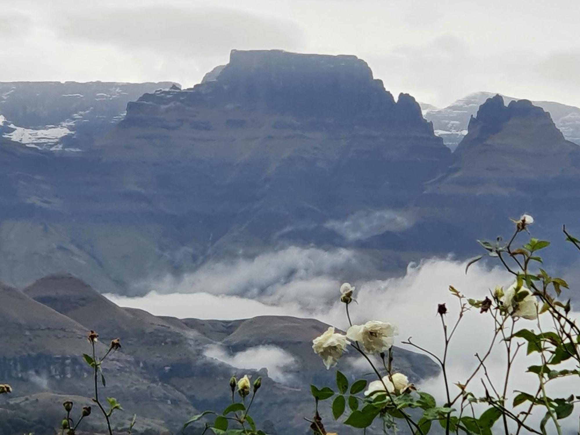 Inkungu Lodge Champagne Valley المظهر الخارجي الصورة