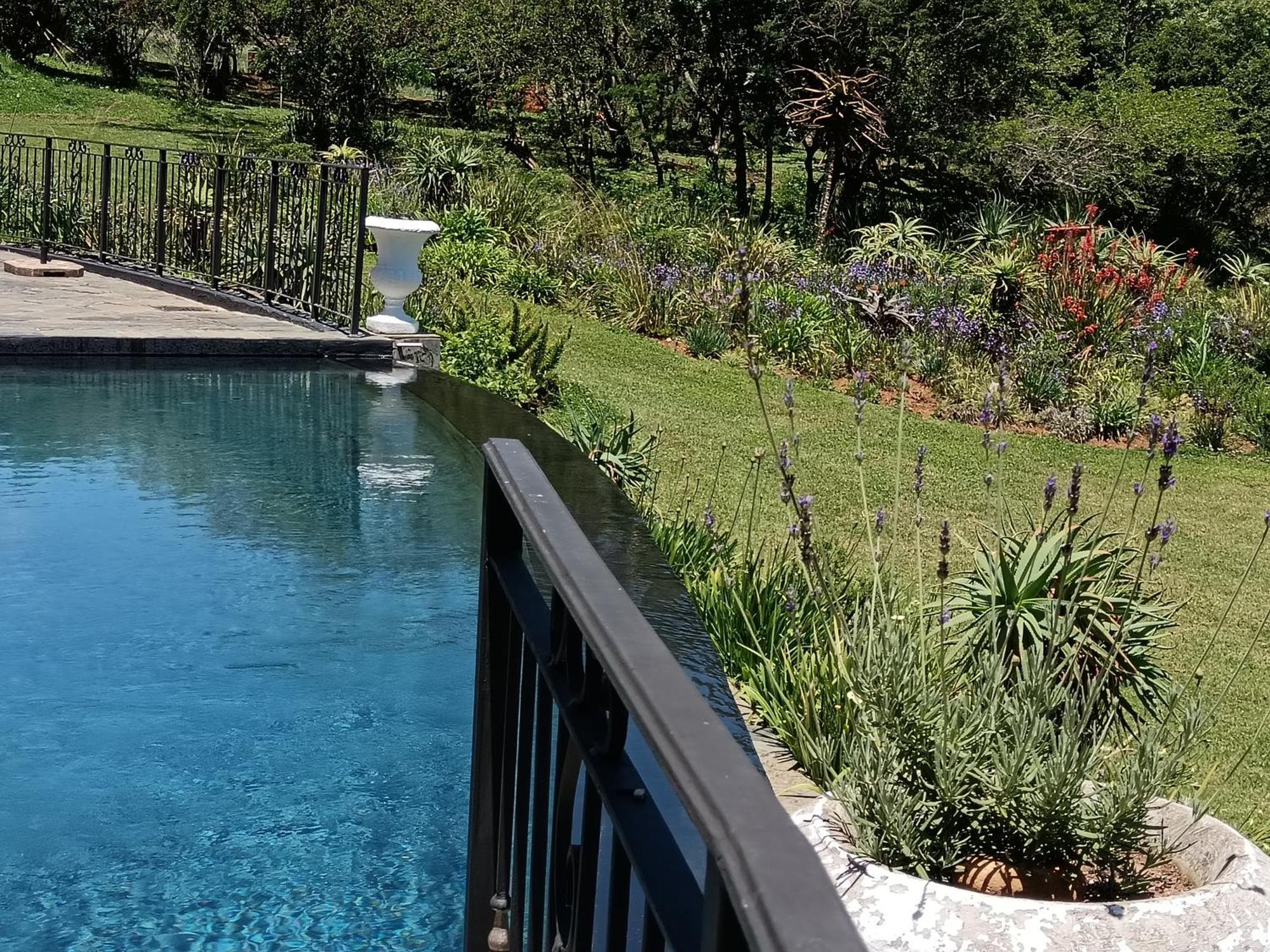 Inkungu Lodge Champagne Valley المظهر الخارجي الصورة